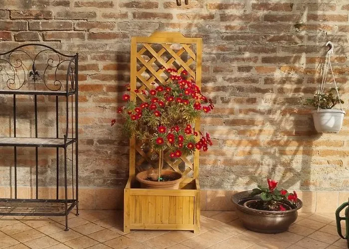 Beatrixhome Oasi In Citta